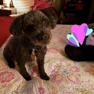 Meet your Posher, Lydia